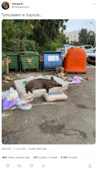 Post na Twitterze z fałszywym opisem zdjęcia