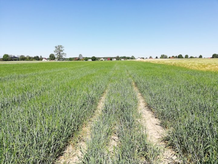 IdpOOxLfaCW0bJa8fVmk67O_jobv9e7aC15ndJYa