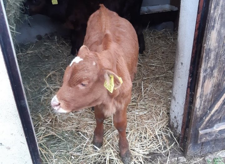 _wirrrPOL6K666VVjOWHLm1BUzpiCfzHFxIkLD4v