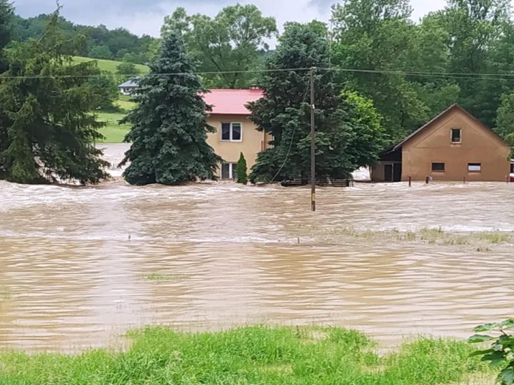Obraz może zawierać: drzewo, dom, niebo, na zewnątrz i przyroda