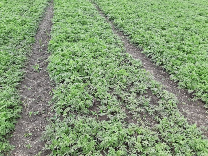 QtYy5Mdgg43yKsDgVDbRo3uRFl8qxRGXS7BgNLgrAK7crHVgAKdhyP3WHk3jcFoqwLBAeWI9EaFU1RA5PU86k3mOYdG7MDMOV9uX-FNd5MMVv7KKIvJwyIW7NqrSyqYVtXRKG2jtR0t7kli1EEIfB0mozLjSEDpEjkSZ9zpk_YY0gwU7uDbnQTvA33352EjMTNN34J4pzxhIQKsceID5mIi7PCQKFRMhU1e8-kfFteXmU-kV8t4-szC1c2dxt-NxAtoAyF8-whWCJbAlRurfgfcTL5QiOmfRYWKkNd8i0icas_cMm5RJrqo1gCc6s8A3HbYh_duWTekKCbT3xwLwuegcI2PXI_3gRfIsbQoKaRUrk-UBLZQlQ0nCvmtqkaXzsu-8GI9Y5HEeYt1hsn0xyQBkTHJ23WI2GZzGASg5wzvU85Y3_Q7fJrscZ_pthBG_vdp6yGVf5KBf2mjVx6Wj6KUbcB7U2Keij4UYnLkyWOjqkDcqQOyus9Up8826JiBCzRaPitqqbpscQ940kbVxNDg0OydTZFem3bLgRis4e7S2DL6-Bpzmy5FGvd5zhQA8Sf39Ky0C-Cu_5V3iVCaGH0mmjb4nNpFGE58w6GGmZTsNaoSdCrnmOosvFiBcEIcjR5F3ZGyPqvo7J5PeHJl3fN3IOZnVMCdqstRuoAU9GvRlkzeRepxRxzN9ierp=w1252-h939-no?authuser=0