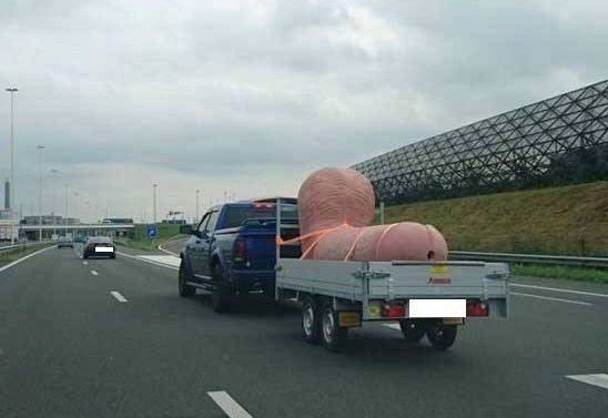 103109537_10224275179733191_308181670795