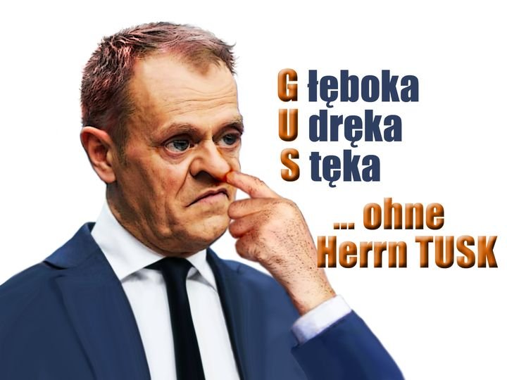 241757799_4642796852421635_4352704314451