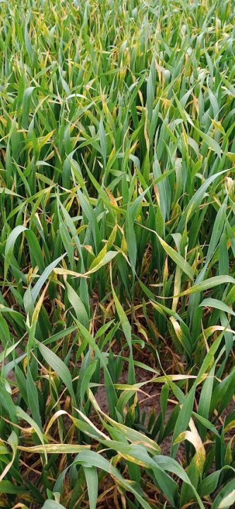 oISyxOLSoY_BteeUpWHaDHFgadBwxFbUVnb9neaJDqnYzlS6KdBtjFBEvM0hhLeSMhq66tnuJDGnx8luBM1xVIMM6E4_bCLqKt1rAcybDw-lgxNaVl5KBl3PHaKl_iyc2b8UmlrPgUz6TotQPArAfGY6f_xockemy5SJF9S-aNTprOeB1IpAzxV5EUgpRLnnJA4ClS9mYsD_JEUTOIh4Qx--U70hUJy9tqwWFmEaIfwWYwopOFnCVOJyYFCx78eoDjAFcKOuLDUmYppteNNLvQNYw-bclAkKCD-jNm2gnDS3wI4gkdKAH_yGY74fU3mQKUPm3GdpwYpUpntqQTHZHUVzGBtoIYAlRKfZFAucBa3FtFex3w2-QS2QOpgz7qQkR1UAiAT-2tZEhhNFvtn7Y6k_F39SJbXbg6A7e94vmkpbjtRI-U2B3E8S_Cmc-vvIELvgHsDvntjTAp93SUOfhkC6w3tJVcHB4smH99O9q89fE37q_BrYNFW0evcsSzfzl5kpVn6t7iP9xLISrOlzcVtYj10iNbJBBn9Bx9Xe2cwIKNOAIFC-q70-Lo67xowGM4399HK6_PpNBzLjTyaic3HfVYnaRuGp5BonBaHl6YFoAIb-2rw-kGVBRhuP5X8omwvKuNLkELfKMRqfy6fc8UbfaSm8hV6HzzKYb6Nph8msqKKXr5n88eCNEwt9yx9HLeeFGwgDhM3glOJmhwpVlo54F2JH2Zptz6lhHcxfjvmzww9BQabH4SKHVsdeLomow2dDTLEDz0wCi2gcLsjWkyLpgP0j8Y-8W_81FiV_nGXNTxEvB5O59mcC7ryKbmGc__rzdD6jmQlkVG-VkRgmb2ODkKIFrq0SU3AwcDOVM7z2sspT4XYHeAh2A9jnMA3GnUZUSEBWPkZRXarUamBEApYdogi3nSRnHtVa65QVLasd_Fvt=w401-h868-s-no?authuser=0