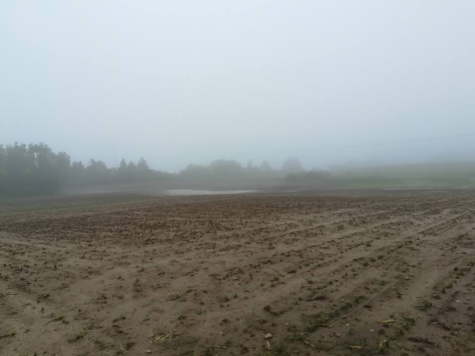 ZdjÄcie uÅ¼ytkownika MaÅgorzata Stosik.