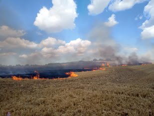 CQ3H9uUtXBYZOPnVfobhvdajxNfhkyvlWpWK59NbD2n-Ky1tc0fbreyF2w2_f-E68gwuKO-cOHhyvrnVbIDYosTeyUXcVbvqERsuEVxr2Kgmo8Nsa6JNQgZyTAjvJv4kvN997e-VlYy5dKnBvTiU0IzB_S_9Sa-gYaTY1lE0_hKrtDBZc2MXeNA-ZTXfBsGgGg1x68qWMrZ9LHu1KDF7n-JJlM2RvbEqNc6UOH2QOABnXex1fM0Cw8mhBZxboOCdRTXmwaJdf5WwBSZYW-j2Rgm2yVLYUw3x8A5FZ5ceEhRsY-FQqVKXxBUVHP3QXxwFkXLMVV3HBTif9JLdgRLIPWGKsB92KTQdY_dZGYq-APPpME3EUAGwVfx4YE6hWOqFA02zwbZ4M5qa7XPbFiV5fktFcGmQsEGQ1HMDI649dsXesHkmrwRPoVqNI-2zHt95Eq8cxj970AZT4zN_gt4Ajq4GpDDuW5e7BPlaBKbJQW8FTO1JYvcPrsZhWfl9LOKBMP0iCJrF0SLEQtPewwy8wzxgB8tdl9aadg5fFulFvEBp29QnjwlBif7w0uPr6mJ8d3qAA_a73XWTuAH3yUcG2xde-iChQCKkLOwozDZnxsSM1ZtqtHcwvne-cEghIzzP0RUKTFFTTVNmvNAdtLUsQN3cvxq87kWo3vmsHsQ21cBBLNvLnsx8jt6f5azHmESkW1ca0OmE-afridTIVbsBXVak3sV8ITpLOBbs4QMpoKDSv8LPVemJbO4bJJzBTTMisPdv3fcTpkWcPCf-noV7HFbXRbkGnnTHiDPfBZhr6Jf2JASHYlGAiB4EqfId8qQdNnYIbcEHLO4N71pt5wA40gINYdPPPx0om7b-6ek5pzRNRj_EFvJ7f4Ay4sFU14na6QEcMoFXn2VLJwOtqE0w1oQVc-w9wuuWfAqaPT_OWvrPEr-J=w309-h232-no?authuser=0