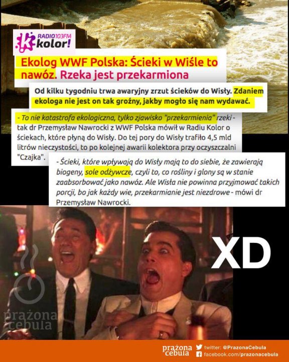 119741915_3363478363674573_6254986797729