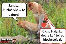 images?q=tbn:ANd9GcR9ft8wT683JgGpmlL0oTD