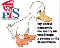 Najśmieszniejsze Cytaty, Zabawne Cytaty, Śmieszne Dowcipy, Humor Dla Dorosłych, Śmieszne Cytaty