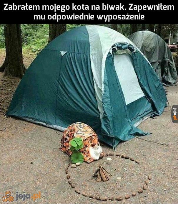 Namiot 127+ Najlepszych Memów Jeja.pl