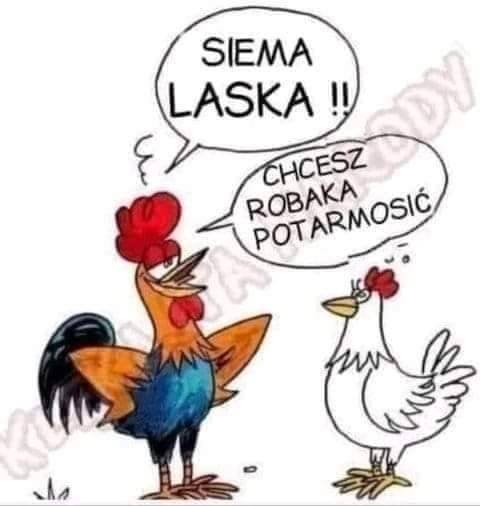 321434611_549724433699467_74168782408943