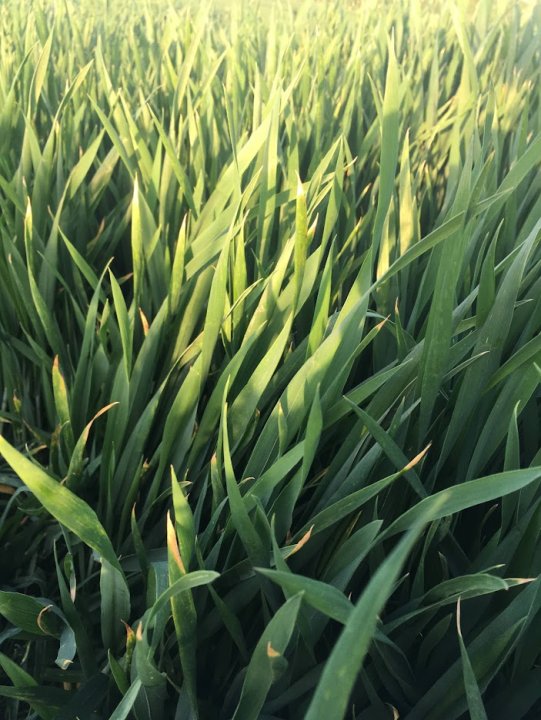 6DvNCWYbFdLsoP5ImhhnKPgYPQVXommExbH9UmwIhuPG4lm_2XP0NPyM12NTf3ABi_4NripBuSeV6YYIi6ugCMhVmMSwGY84mcXEWTLVTfD4-CWsFy3pcKZ6z35xQj_pS4VjegZB8qRhg7s-GiTTf_WAPFS3fewEQn9WWt1C_ZAKBUfWrJUEAn8euYpzOhlByUQSQvnTIjHcDaNwWNZqo3iyTR8FkO7z9RhVxVkIjIANGSJpQO2zyJcRQYzSVLOHYg05GxoIF3o123UPJPaPhtf9AElBF_Nz6L6GdKbrJSlPi0TNIpF9WC3zQn6CWkLBWjXoP5NxT4lNUcjzHmGdCTGgS9GyIANC54-uz8WO9bOeO4ZydMnKH37Hqycgv3Hxmx1rpCPwEC3cFby1uUzdaIGyv45O6P72V6MqKdLDEugQPBqRmUoVgrpLTTaYTr1-DS80RMQsSv9KWMl9wV3dI6BufZFpm5o3xAjJ_MwZJf9WZWAPyQom96RU84mlv9yhVQbFhaU7zTSZD8t74bevrEmrD79l_cao_FkCR9ierR-PmKo-IbNozw_qSHwta4cezTqJ81OlVX1tqleBRhGXfevwiYFZx_u7M7x7xzNVCiKM8tDdAOVZFEQkCiopLJT2CKMPc27sWH8y8Vb7WUrNdHSOqH0cx-BhhuC79Cu0TJ0PSbYxuhvUB2g7TiVftt6Mc1BXuyR0jS-JffWoMmwjgNm_Ov9FWzlBCuA2J_YBcMUCf0UaeUllS0L2DMw339TbekWjhT7lvpCvneT7mE8Pz43j0aBGf_5oQ8NtqaX9QFRKJa-cujoG5JbXYQJOhPJtqqsX2Y9BErG5_6vz_s9v41LawAivPB8CKPtJZ5P8UCHR5n5TWgdRRPO1GCR0NfiKIf8uckWHOKHl7J2v7ewJ86SurfGusT1YccpLvVcBnqbTIJdp=w703-h937-s-no?authuser=0