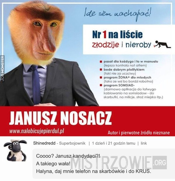 Znalezione obrazy dla zapytania janusz nosacz