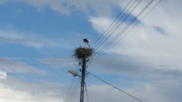 AL9nZEWM9ctuWtRF2y3FJE-3OVNNMK4l0d_s7uol