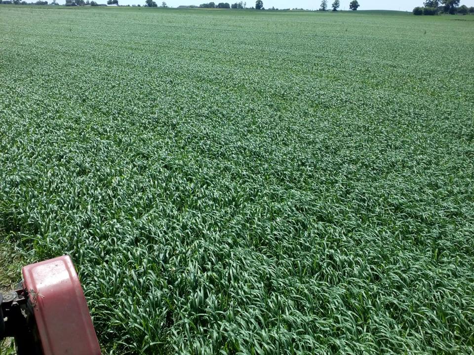 32877083_529851717411149_803336258340886