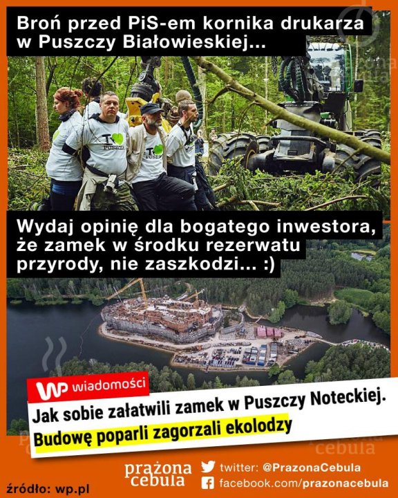 110308781_3182172251805186_5617531235957