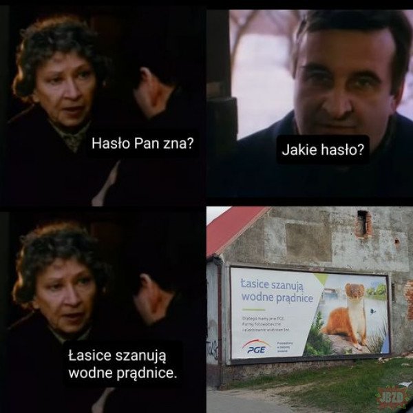 wzipO7vJsr7y6e1YfKfMqh6PEdBSjD3g.jpg?fbc