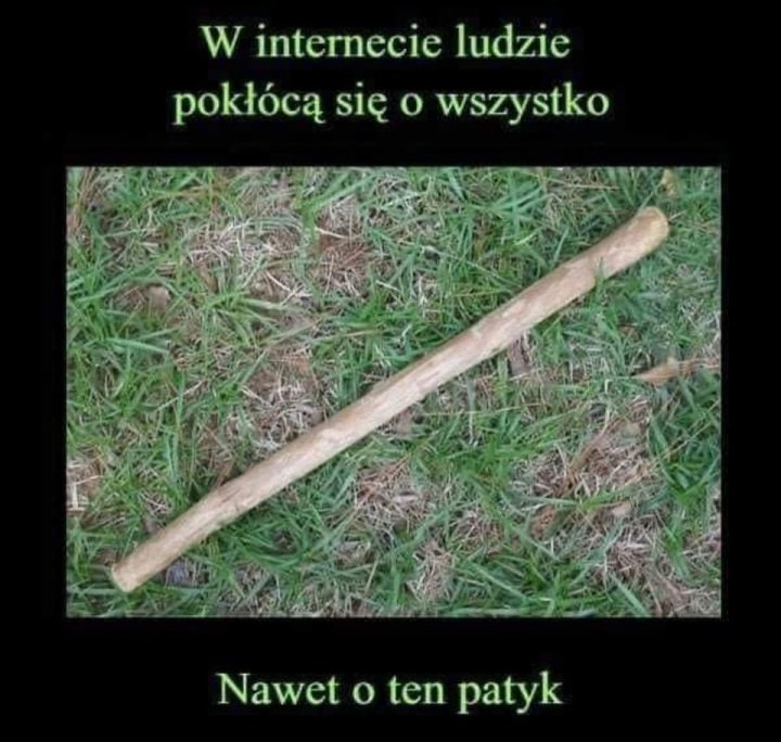 Może być zdjęciem przedstawiającym tekst „W internecie ludzie pokłócą się o wszystko Nawet o ten patyk”