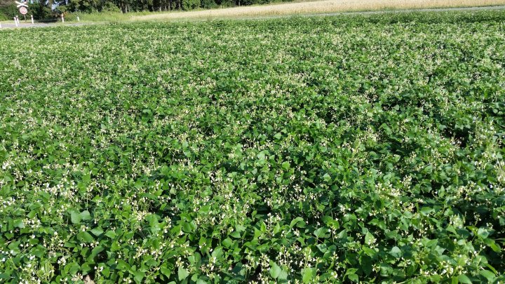 AP1GczNDK-OfXw4nVKJHOPmPM_FrChqUJ2LkrHB7