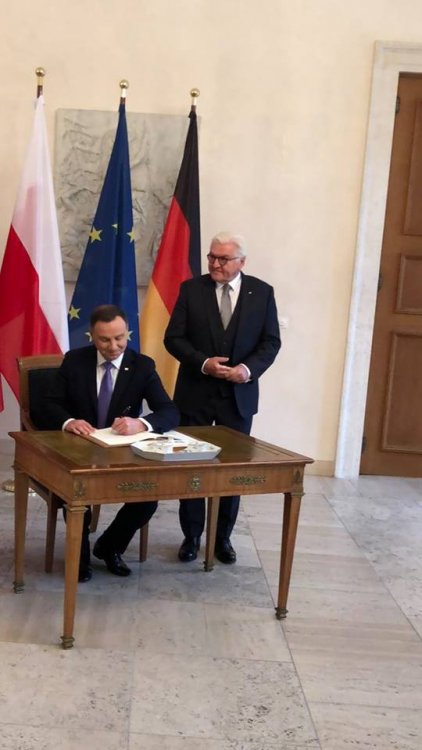 44602249_1852704661465867_55056316165395