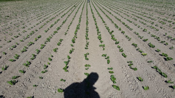 AP1GczNBXwqzuT0tf-ryHU3A8UbEdsUDxDQ0x0jp