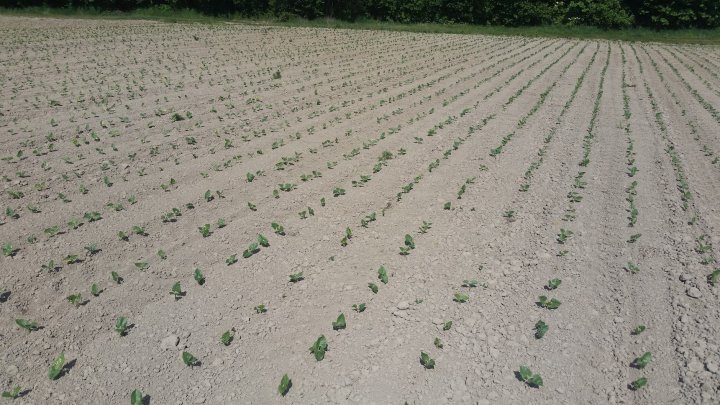 AP1GczPyLA3iC3l7_EznxqZfVUSxaFTPgtPuKL7g