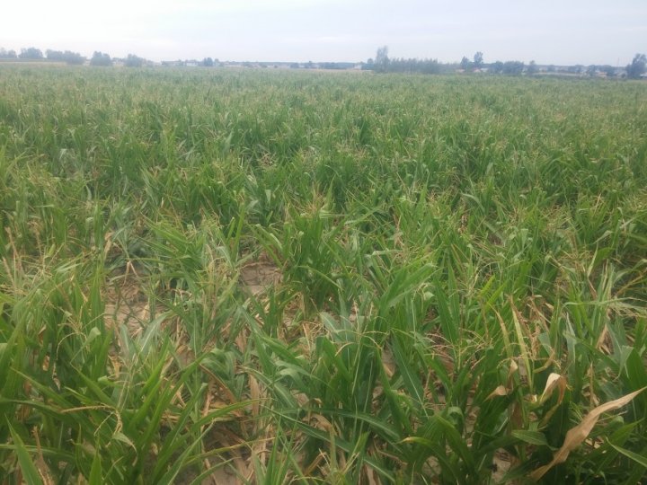 ZBWIltL_KRrLd5uJehXQzeZ0udusoOe3hRqIml03