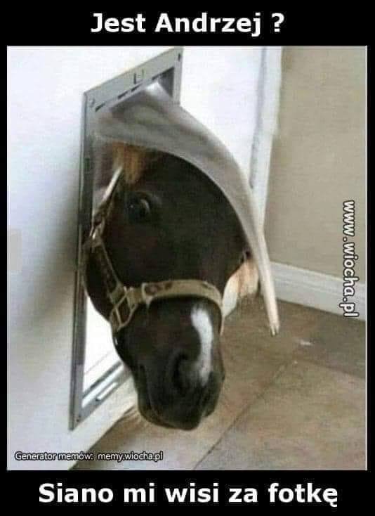 Obraz może zawierać: co najmniej jedna osoba, koń, kapelusz i tekst