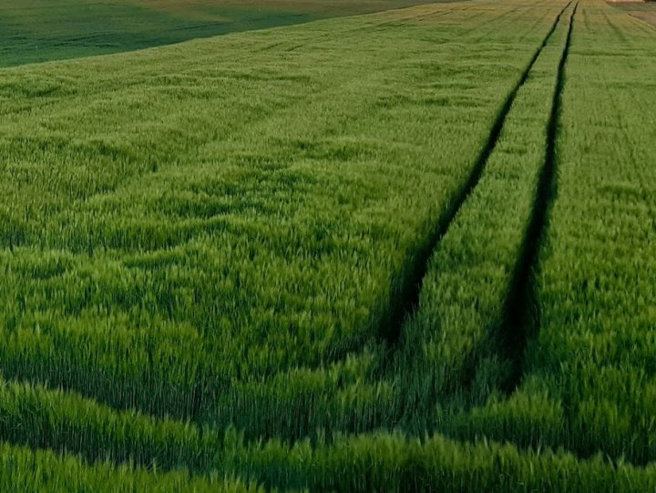 bBwViZxbCkMMgOPruHnmuIUCumT8AN62Jl2VE73M