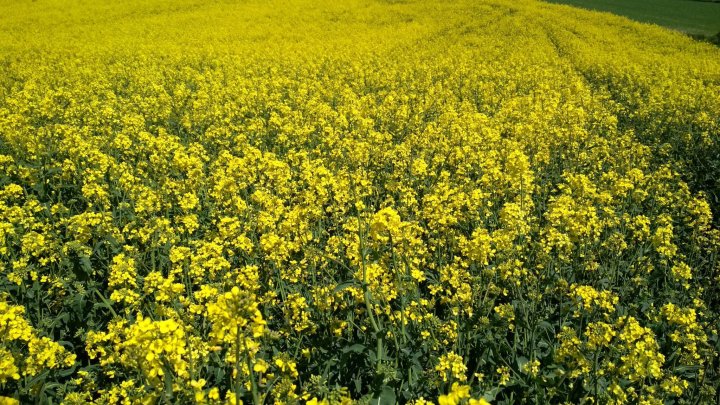 346086486_782695293378504_77844415128311