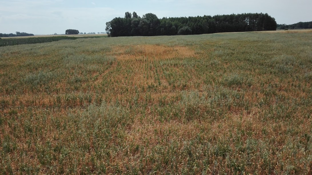 3SOsvuH4ZhHr7K3Ee2DTdiRV1DndJxpsg8et3oy2