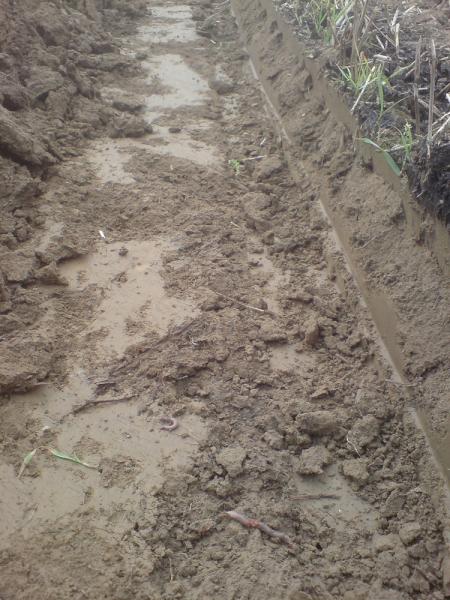 post-8912-034354900 1282765122_thumb.jpg