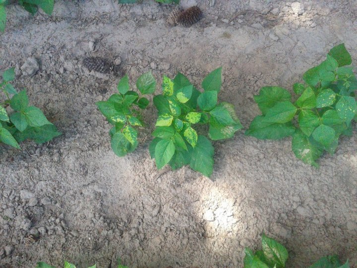 ACtC-3dGGJc2wcWmUeRoREG5QsYtGDvoLqlfvl_Y