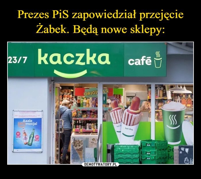 Zdjęcie