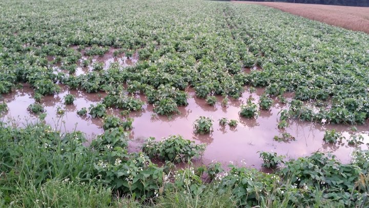 AP1GczMOdMnwGTfMm9M8Fn4rSd2Iq_UMDYOtdzp_