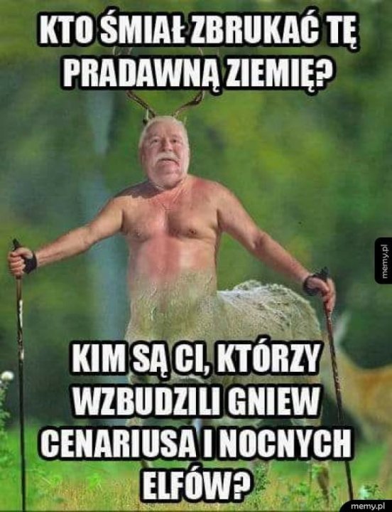 Te memy z Wałęsą są najlepsze! "I ja mu wtedy mówię...". Zobacz najlepsze  memy z Lechem Wałęsą [galeria] | Nowości Dziennik Toruński