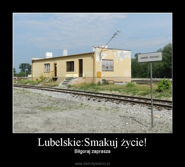 Tak się z nas śmieją. Memy o woj. lubelskim i jego miastach. Koniecznie  zobacz! | Kurier Lubelski