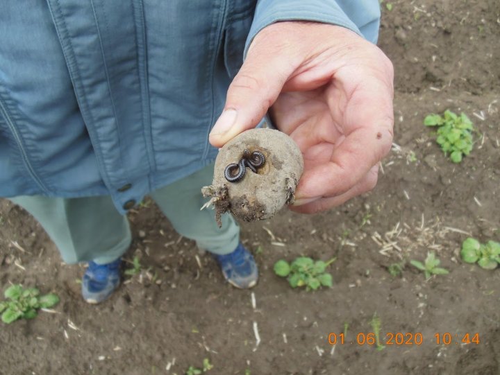 ACtC-3fV7_C_jwCy3akQyYODWoBxd4uQWs7wt97L