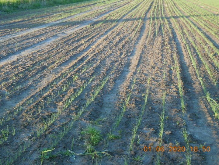 HOz7CpNJawXOVuSJ9CJGhs6bAHTdEI8VvKAMbrqIqzHnxcpiGFoN69JS4e5ZDqMn1nkynL1jUpb5CJ-lFpElyngPSQW1-I4YCA8bHzOmevxOhg9L6UaoicChkfCTSE-b9owB8LbrVu5JLP5U_CPvyadnBAIIXgO2CSDgMWvBf8qBdAMeSVGAetT0aIWPkjwPhTaJazNQjkDgkwUqVgOlssA_hi2878P_6EIV1H_-mXTlwNKtMSR1-rjpiX4nRhwXNHklL3FZXfZVrrbodi1Hpivm0aZ4TqwOIXSdoN-lG8YuaDLqA57HVzMFOgwclVN30cddFOCm9-FllW27KXLkuX-0DohTKDOf856EejsLCo--uEm27Fjnm1bYWGVKupSoaQgX93F0ZxZHWtkJqHvHW8qY960dCC2HAlH4wAaTzzf-wOCoqM9PM1DkiVnZDhcFGJyrwF_rj0DU-6Hkpz6rkty0UKF8G8UZx4SV-xRxLygO_WB_8p6tl4AYhlcjPeYjsov7lcpoQzWXUtbDJspuPzCM0fBB7B8DpfwnZNRYSysKdDZk0gRoHxRJD1TkYaODSTXtMbfjBfGz3MbxLG6HYV4v8AjPGiODHgu7prR6zZADVpTnQOavinZZMzokemNH3xzuxlRQ1owK8IAeL_gSdS6KKfKW0QSdQY8tuZbOHFbBg73q8VuaxaUDJ2PdxA=w1242-h931-no?authuser=0