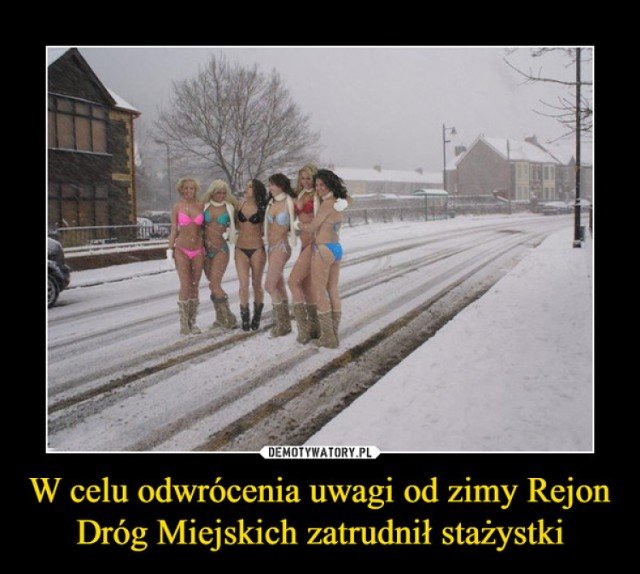 Śnieg ci popsuł humor? Odzyskaj go! Zobacz internetowe memy! | Wrocław  Nasze Miasto