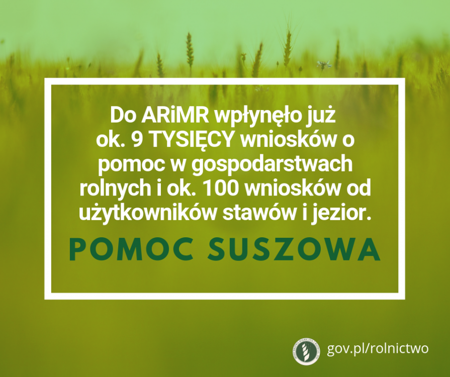 42174157_2429804693698150_80409421140595