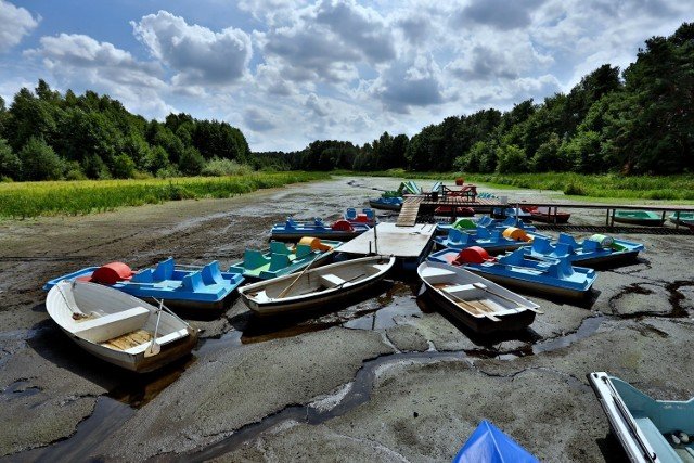 Susza w 2020 roku będzie najgorsza od 100 lat? Wyjątkowo sucha ...