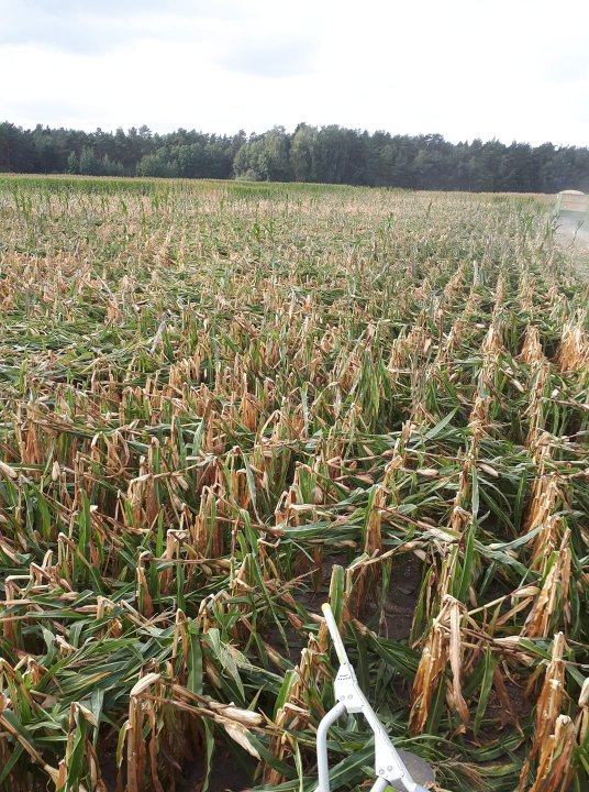 Brak dostępnego opisu zdjęcia.
