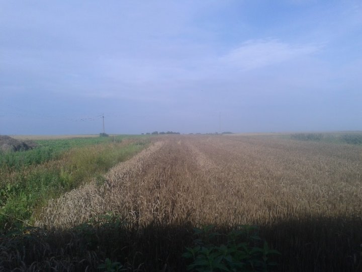 ACtC-3d3FPWbH-20XINdjU5rfJbnZjkeGKuBBHAm