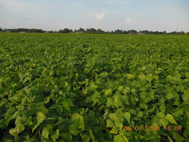 ACtC-3fAdqEU4GUfhdOa3LyYCaZPjOM3abuvhGwW