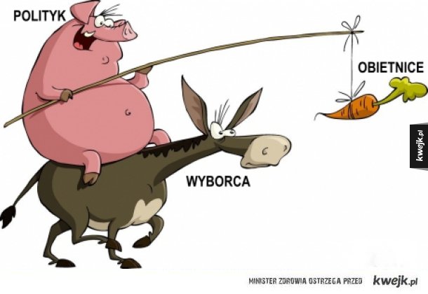 tak świnie pchają się do koryta