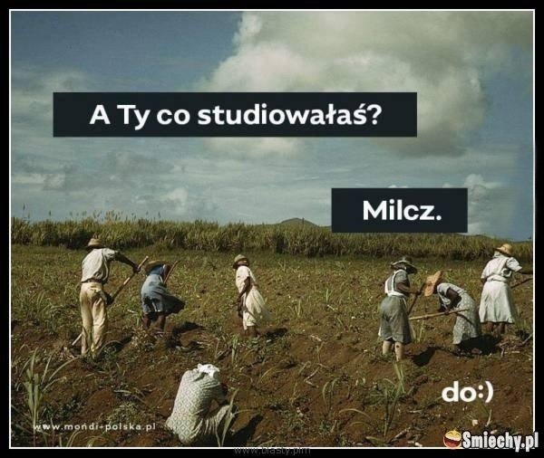 Najlepsze memy o studentach i dla studentów. MEMY: Typowy student. Jak  wygląda typowy student? [19.03.2021] | Głos Koszaliński