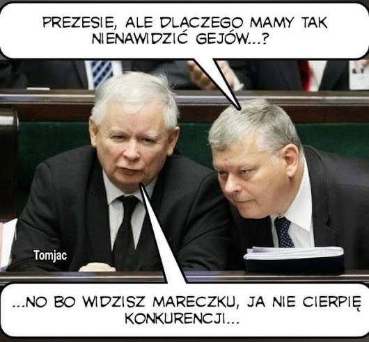 Najlepsze memy o LGBT. To z tych memów śmieje się cała Polska | Dziennik  Polski