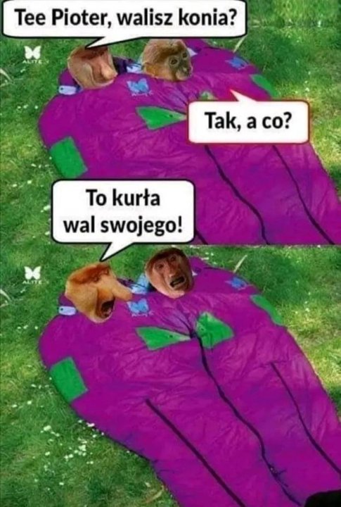 Może być memem przedstawiającym 1 osoba i tekst „Tee Pioter, walisz konia? Tak, a co? To kurła wal swojego!”