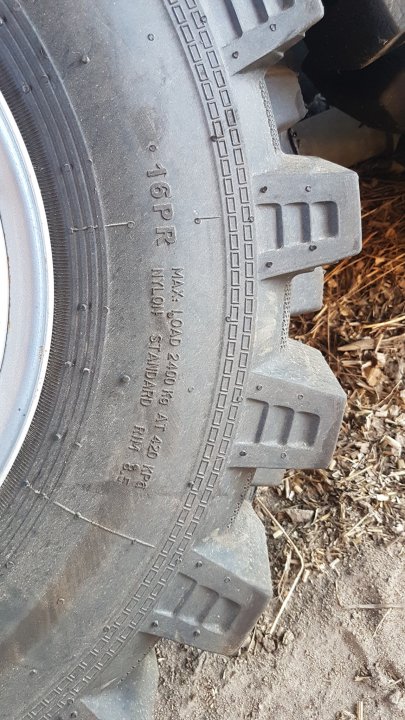 Może być zdjęciem przedstawiającym na świeżym powietrzu